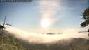 ./images/calvert/fitz-hugh-hecate/20260713/fitz-hugh-hecate20260713_071001M.jpg