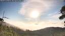 ./images/calvert/fitz-hugh-hecate/20260713/fitz-hugh-hecate20260713_073001M.jpg