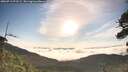 ./images/calvert/fitz-hugh-hecate/20260713/fitz-hugh-hecate20260713_073501M.jpg