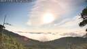 ./images/calvert/fitz-hugh-hecate/20260713/fitz-hugh-hecate20260713_074001M.jpg