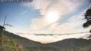./images/calvert/fitz-hugh-hecate/20260713/fitz-hugh-hecate20260713_075501M.jpg