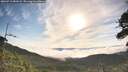 ./images/calvert/fitz-hugh-hecate/20260713/fitz-hugh-hecate20260713_081001M.jpg