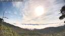 ./images/calvert/fitz-hugh-hecate/20260713/fitz-hugh-hecate20260713_081501M.jpg