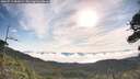./images/calvert/fitz-hugh-hecate/20260713/fitz-hugh-hecate20260713_083001M.jpg