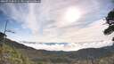 ./images/calvert/fitz-hugh-hecate/20260713/fitz-hugh-hecate20260713_083501M.jpg