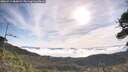 ./images/calvert/fitz-hugh-hecate/20260713/fitz-hugh-hecate20260713_084001M.jpg