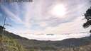 ./images/calvert/fitz-hugh-hecate/20260713/fitz-hugh-hecate20260713_084501M.jpg