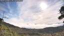 ./images/calvert/fitz-hugh-hecate/20260713/fitz-hugh-hecate20260713_090001M.jpg