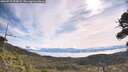 ./images/calvert/fitz-hugh-hecate/20260713/fitz-hugh-hecate20260713_094001M.jpg