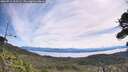 ./images/calvert/fitz-hugh-hecate/20260713/fitz-hugh-hecate20260713_103502M.jpg