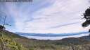 ./images/calvert/fitz-hugh-hecate/20260713/fitz-hugh-hecate20260713_104501M.jpg