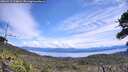./images/calvert/fitz-hugh-hecate/20260713/fitz-hugh-hecate20260713_124001M.jpg