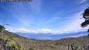 ./images/calvert/fitz-hugh-hecate/20260713/fitz-hugh-hecate20260713_152001M.jpg