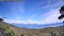 ./images/calvert/fitz-hugh-hecate/20260713/fitz-hugh-hecate20260713_152501M.jpg