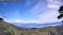 ./images/calvert/fitz-hugh-hecate/20260713/fitz-hugh-hecate20260713_153502M.jpg