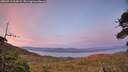 ./images/calvert/fitz-hugh-hecate/20260713/fitz-hugh-hecate20260713_214501M.jpg