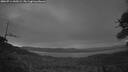 ./images/calvert/fitz-hugh-hecate/20260714/fitz-hugh-hecate20260714_045002M.jpg