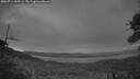 ./images/calvert/fitz-hugh-hecate/20260714/fitz-hugh-hecate20260714_045501M.jpg