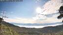./images/calvert/fitz-hugh-hecate/20260714/fitz-hugh-hecate20260714_081501M.jpg