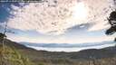 ./images/calvert/fitz-hugh-hecate/20260714/fitz-hugh-hecate20260714_090501M.jpg