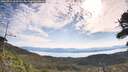 ./images/calvert/fitz-hugh-hecate/20260714/fitz-hugh-hecate20260714_093501M.jpg
