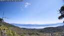 ./images/calvert/fitz-hugh-hecate/20260714/fitz-hugh-hecate20260714_111002M.jpg