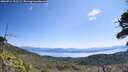 ./images/calvert/fitz-hugh-hecate/20260714/fitz-hugh-hecate20260714_111501M.jpg