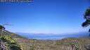./images/calvert/fitz-hugh-hecate/20260714/fitz-hugh-hecate20260714_171001M.jpg
