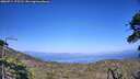 ./images/calvert/fitz-hugh-hecate/20260714/fitz-hugh-hecate20260714_175501M.jpg