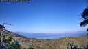 ./images/calvert/fitz-hugh-hecate/20260714/fitz-hugh-hecate20260714_191501M.jpg