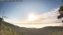 ./images/calvert/fitz-hugh-hecate/20260715/fitz-hugh-hecate20260715_070501M.jpg