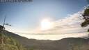 ./images/calvert/fitz-hugh-hecate/20260715/fitz-hugh-hecate20260715_071001M.jpg