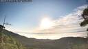 ./images/calvert/fitz-hugh-hecate/20260715/fitz-hugh-hecate20260715_071502M.jpg
