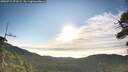 ./images/calvert/fitz-hugh-hecate/20260715/fitz-hugh-hecate20260715_072502M.jpg