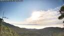 ./images/calvert/fitz-hugh-hecate/20260715/fitz-hugh-hecate20260715_073501M.jpg