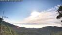 ./images/calvert/fitz-hugh-hecate/20260715/fitz-hugh-hecate20260715_074001M.jpg