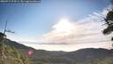 ./images/calvert/fitz-hugh-hecate/20260715/fitz-hugh-hecate20260715_074501M.jpg