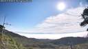 ./images/calvert/fitz-hugh-hecate/20260715/fitz-hugh-hecate20260715_091001M.jpg