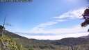 ./images/calvert/fitz-hugh-hecate/20260715/fitz-hugh-hecate20260715_104002M.jpg