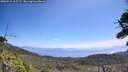 ./images/calvert/fitz-hugh-hecate/20260715/fitz-hugh-hecate20260715_115502M.jpg