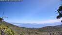 ./images/calvert/fitz-hugh-hecate/20260715/fitz-hugh-hecate20260715_124501M.jpg