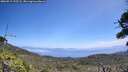 ./images/calvert/fitz-hugh-hecate/20260715/fitz-hugh-hecate20260715_125501M.jpg
