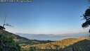 ./images/calvert/fitz-hugh-hecate/20260715/fitz-hugh-hecate20260715_204001M.jpg