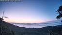 ./images/calvert/fitz-hugh-hecate/20260716/fitz-hugh-hecate20260716_050501M.jpg