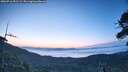 ./images/calvert/fitz-hugh-hecate/20260716/fitz-hugh-hecate20260716_051501M.jpg