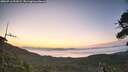 ./images/calvert/fitz-hugh-hecate/20260716/fitz-hugh-hecate20260716_052001M.jpg
