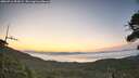 ./images/calvert/fitz-hugh-hecate/20260716/fitz-hugh-hecate20260716_053002M.jpg
