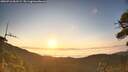 ./images/calvert/fitz-hugh-hecate/20260716/fitz-hugh-hecate20260716_061502M.jpg
