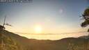./images/calvert/fitz-hugh-hecate/20260716/fitz-hugh-hecate20260716_062502M.jpg