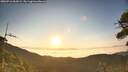 ./images/calvert/fitz-hugh-hecate/20260716/fitz-hugh-hecate20260716_063001M.jpg